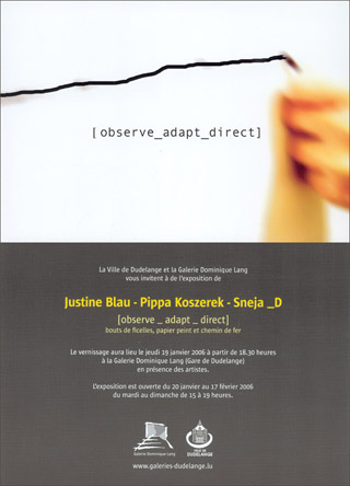 FLYER observe_adapt_direct